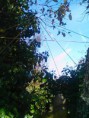 /album/piramides/img-20141231-115642-jpg/